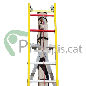 escala seguretat ari4 proepis